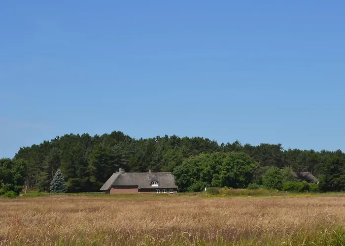 Naili - 3-1km From The Sea By Interhome Vesterhede